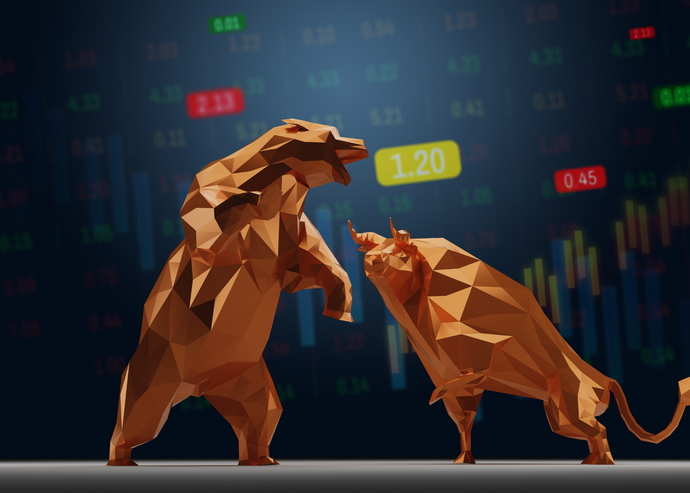 Bull vs. Bear Crypto Market: What's The Difference?