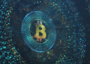Unlocking Bitcoin Network Data: A Beginner's Guide to Accessing Information Without Advanced IT Skills