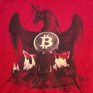 Bitcoin One World Currency Hoodie